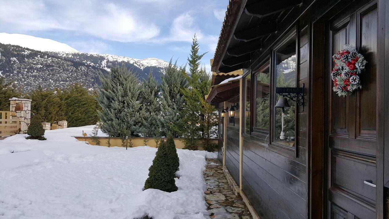 Mountain Chalet Livadi Arachova Exterior foto